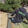 Decorative Landscape Borders