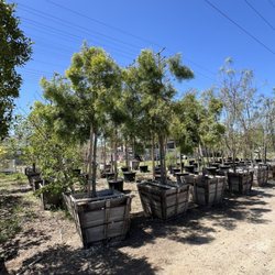 Green Valley Growers Wholesale Nurseries