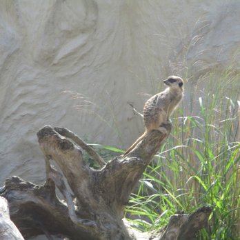 Le Zoo de Lille - Parks Near Me - Lille, 59