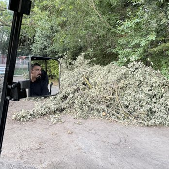 California Tree Solutions - Tree Services Near Me