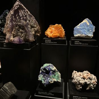Arizona-Sonora Desert Museum - Museums Near Me - Tucson, Arizona