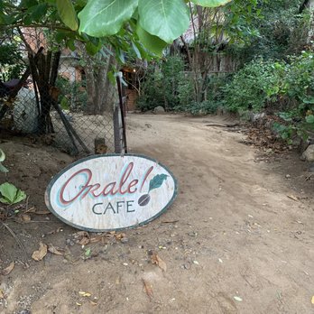 Orale Cafe - Breakfast & Brunch Near Me - San Pedro Pochutla, OAX Orale Cafe - Breakfast & Brunch Near Me - San Pedro Pochutla, OAX