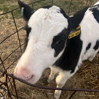 Perrydell Farm and Dairy - Ice Cream & Frozen Yogurt Near Me - York, Pennsylvania