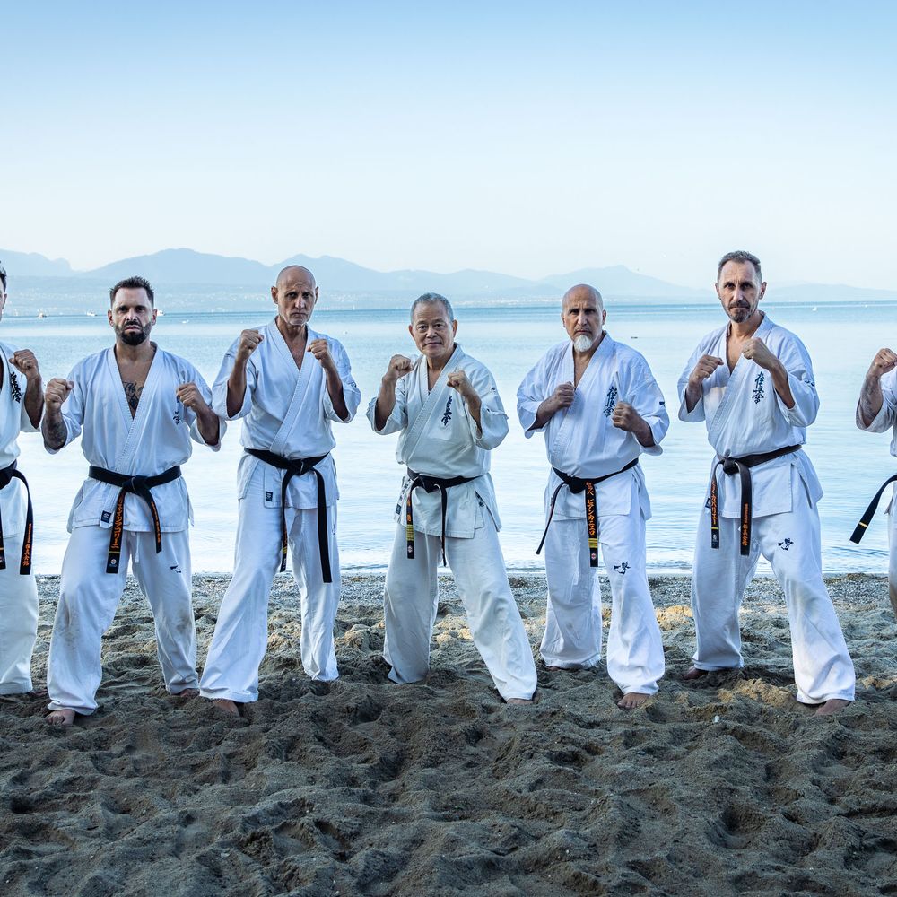 TOP 10 BEST Martial Arts near Castelletto sopra Ticino, Novara, Italy -  Updated 2026 - Yelp, image size:1000x1000
