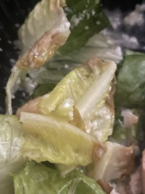 Ted's Montana Grill by null