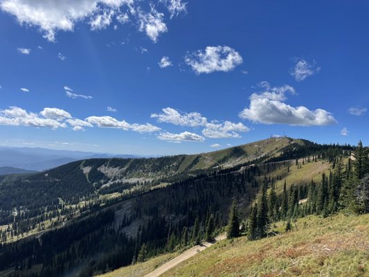 Schweitzer by null