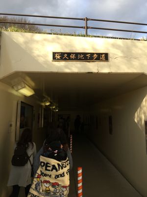 Miharu Takizakura by null