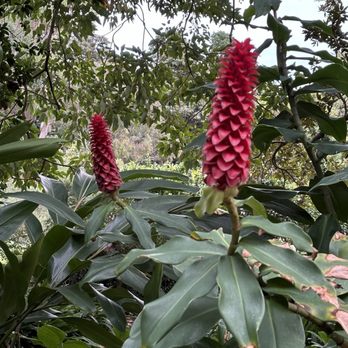 Royal Botanic Gardens - Botanical Gardens Near Me - Sydney, NSW Royal Botanic Gardens - Botanical Gardens Near Me - Sydney, NSW