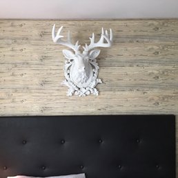 Deer head on wall. Hotel has lots of decorations like this