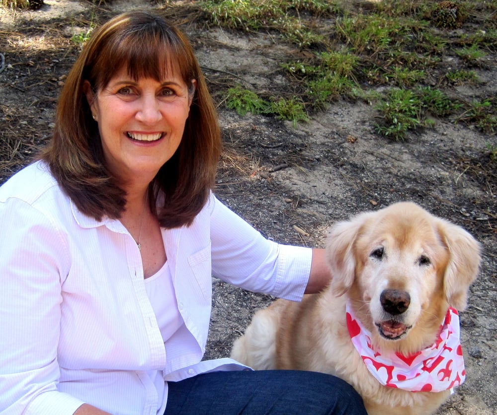 PAWSITIVELY PETS PET SITTING Updated September 2024 Brentwood