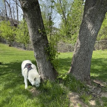 Pondview Paws Retreat - Dog Parks Near Me - Cedar Rapids, Iowa