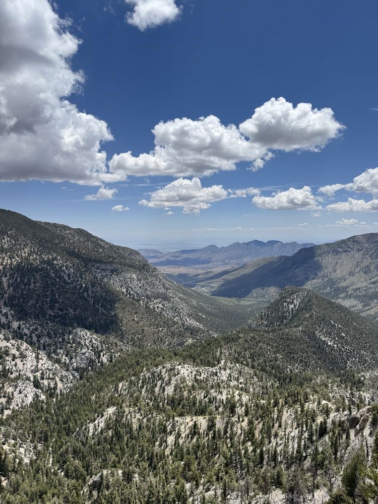 Cockscomb Peak Logo