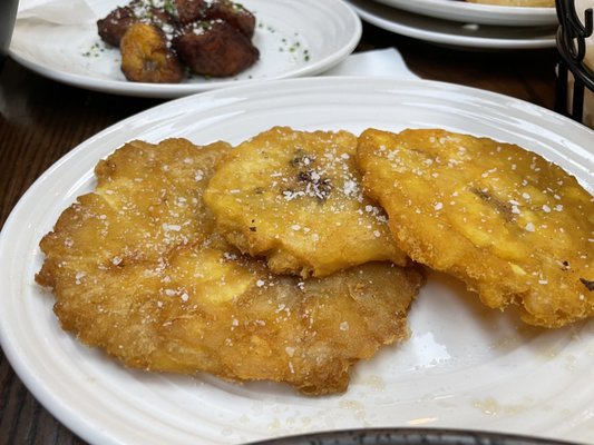 Iguana On Park by null