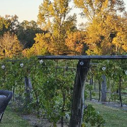 Dover Vineyards