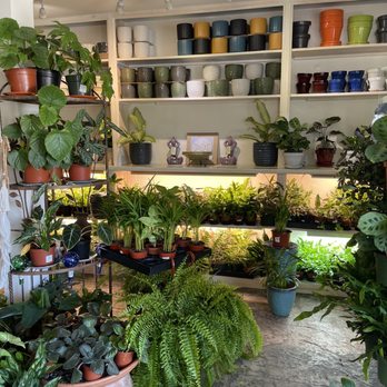 Fertile Earth Nursery - Green House Room - Nurseries & Gardening Near Me - Taft, California