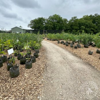 Scioto Gardens - Sales area - Nurseries & Gardening Near Me - Delaware, Ohio