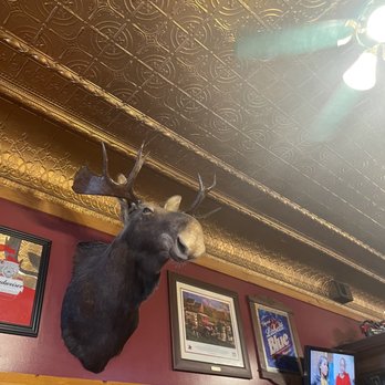 Logger's Depot - a moose head mounted on the ceiling - American Near Me - West Branch, Michigan Logger's Depot - a moose head mounted on the ceiling - American Near Me - West Branch, Michigan