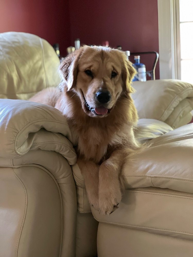 THE NATURAL PET ENRICHMENT CENTER Updated August 2024 117 Photos