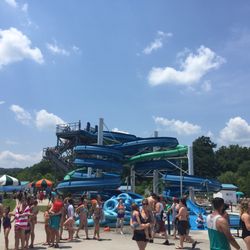 Kentucky Splash - Busy, busy