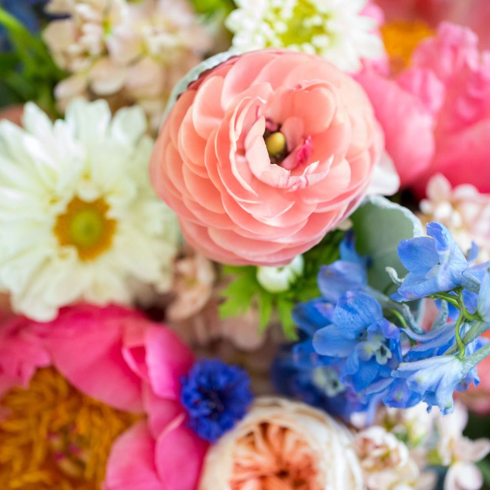Nectar - Florists Near Me - Charlotte, North Carolina Nectar - Florists Near Me - Charlotte, North Carolina