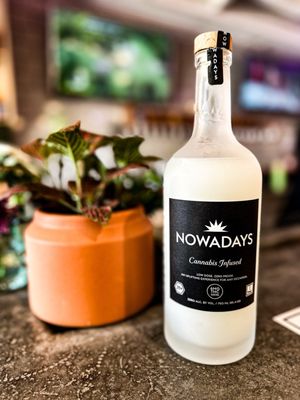 Easy Tiger Beer Garden by null