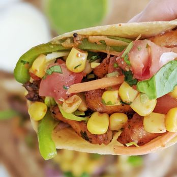 Sam and Curry - Paneer tikka taco - Indian Near Me - San Jose, California Sam and Curry - Paneer tikka taco - Indian Near Me - San Jose, California