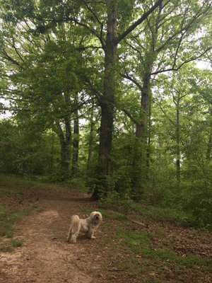 Brownwood Park by null