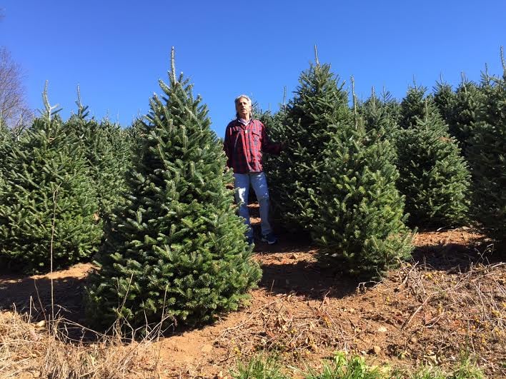 HAPPY HOLIDAY CHRISTMAS TREES Updated October 2024 8140 Pines Blvd, Venice, Florida