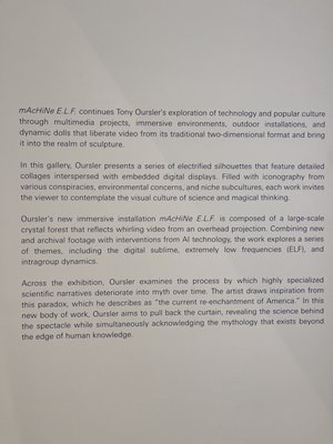 Lehmann Maupin by null