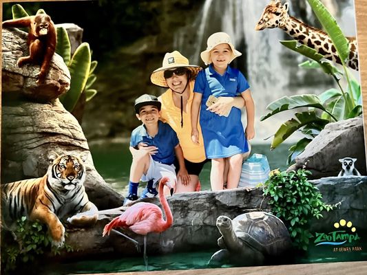 ZooTampa at Lowry Park by null