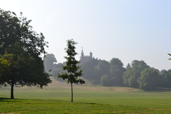 Greenwich Park by null