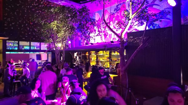 Pilo's Tequila Garden by null