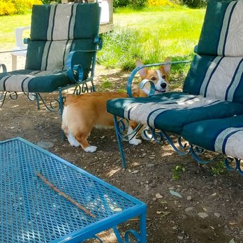 Bandix Dog Park - Dog Parks Near Me - Olalla, Washington Bandix Dog Park - Dog Parks Near Me - Olalla, Washington