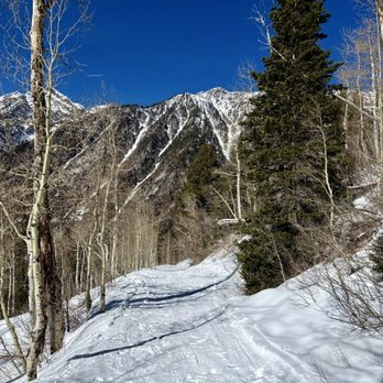 White Pine Trail - Hiking Near Me - Salt Lake City, Utah White Pine Trail - Hiking Near Me - Salt Lake City, Utah