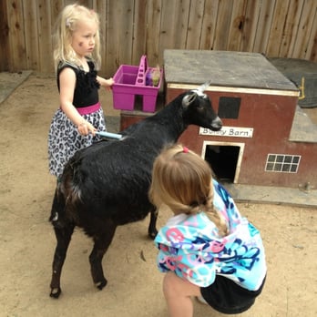 Peter Weber Equestrian Center - Goats, alpacas, a donkey, a pig! - Party & Event Planning Near Me - Rolling Hills Estates, California