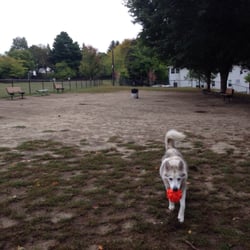 Watertown Dog Park - Nice large dirt patch