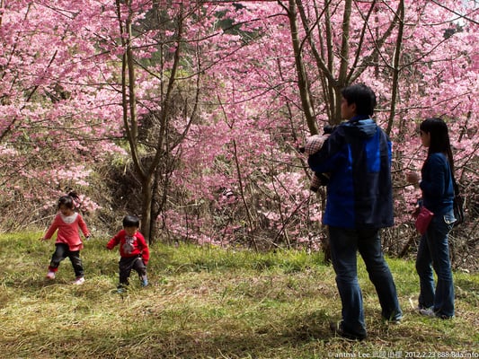 Wuling Farm by null