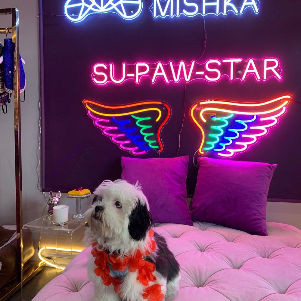 Mishka - Pet Stores Near Me - San Francisco, California Mishka - Pet Stores Near Me - San Francisco, California