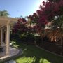Photo of Affordable Season Landscaping Care