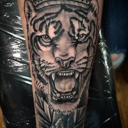 Bella Rose Tattoo Parlor - Black and gray tiger on the forarm