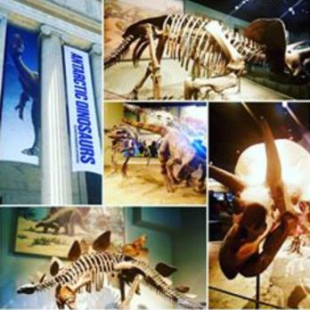 Field Museum - Museums Near Me - Chicago, Illinois Field Museum - Museums Near Me - Chicago, Illinois