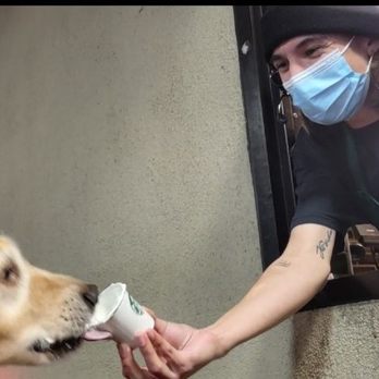Starbucks - Devin is awesome & even gave my 10 yr old pooch a  pupaccino! Don't worry, he washed his hands after & there was no one behind me! - Coffee & Tea Near Me - Spring, Texas