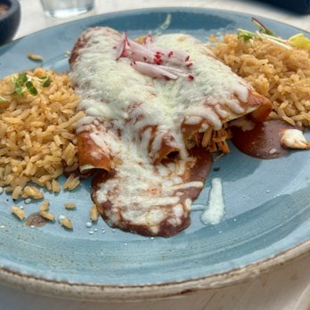 Vida Modern Mexican + Tequila - 2 Enchiladas - Mexican Near Me - Redondo Beach, California Vida Modern Mexican + Tequila - 2 Enchiladas - Mexican Near Me - Redondo Beach, California