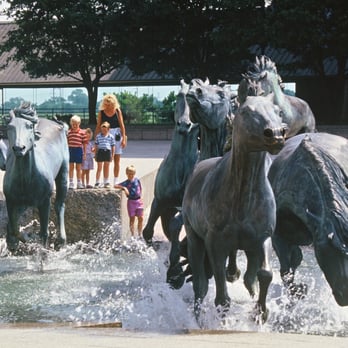 Irving Convention & Visitors Bureau - Mustangs of Las Colinas - Travel Services Near Me - Irving, Texas Irving Convention & Visitors Bureau - Mustangs of Las Colinas - Travel Services Near Me - Irving, Texas