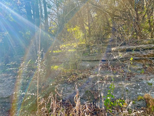 Sculpture Falls by null