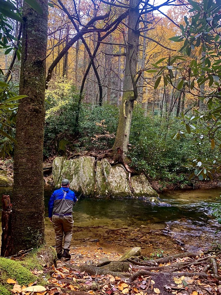 AMERICAN FLY FISHERMEN Updated July 2024 127 River St, Ellijay