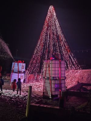 Tanaka Farms by null