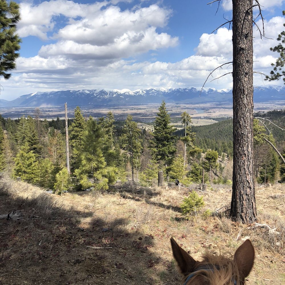 Top 10 Best Things to Do near Somers, MT Last Updated August 2021 Yelp