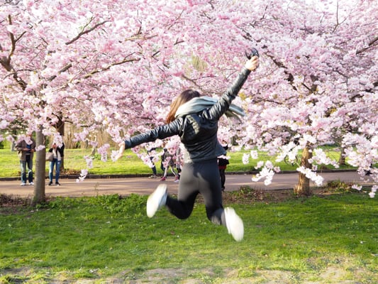 Bispebjerg Cemetery by null