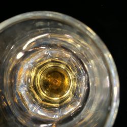 The Avalon - Fruit fly/gnat in my drink.